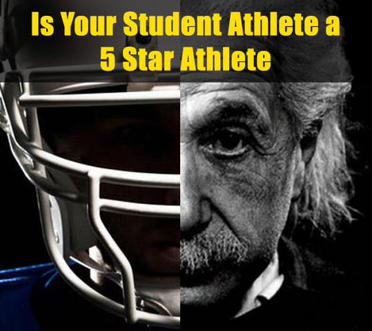 STEALTH-Graphics-539x480